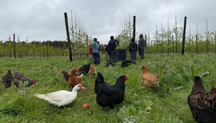 Le retour du Vivant sur une ferme Paysans de Nature